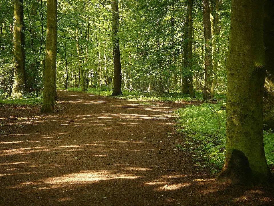 Eilenriede im Stadtteil List, Hannover