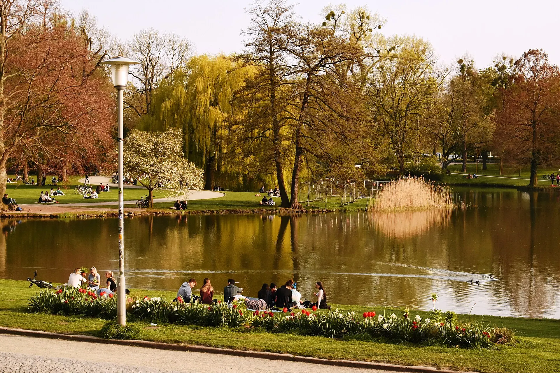 Maschpark mit Maschteich hinter dem Neuen Rathaus in Hannover